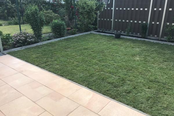 Gartengestaltung - Rollrasen