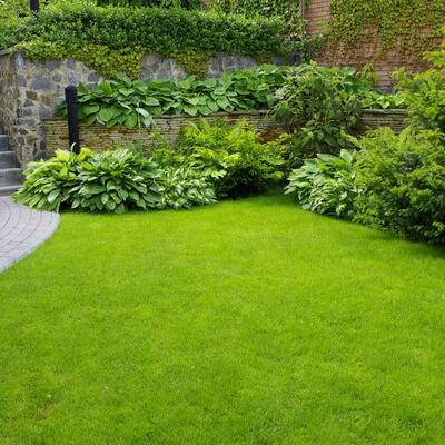 Fertig verlegter Rollrasen